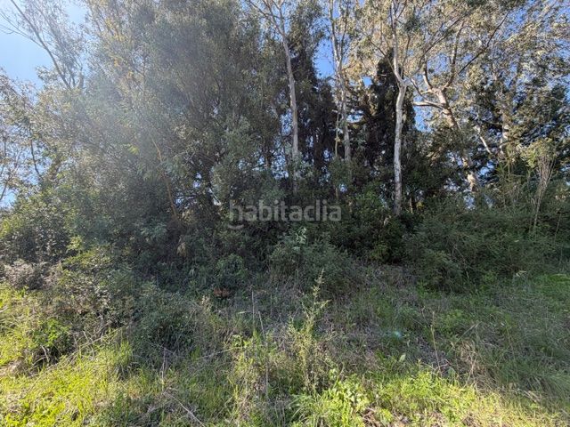 Foto 2427a914-0356-4a98-b780-57812fe54911. Finca rústica a Benaocaz