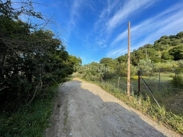 Foto a5649b3d-b078-4a57-aebd-0348967cc660. Finca rústica a Ubrique