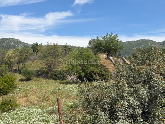Foto 4c8b9e33-bd34-4c13-8047-cec90b1933a2. Finca rústica a Benaocaz
