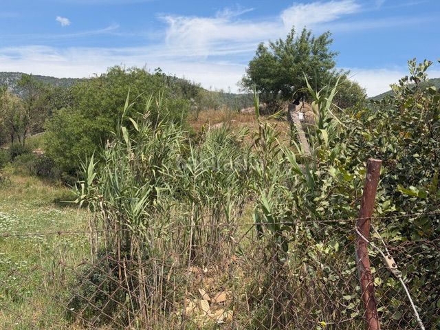 Foto 77f1e5c4-d620-477a-8aaf-979c85efa30e. Finca rústica a Benaocaz