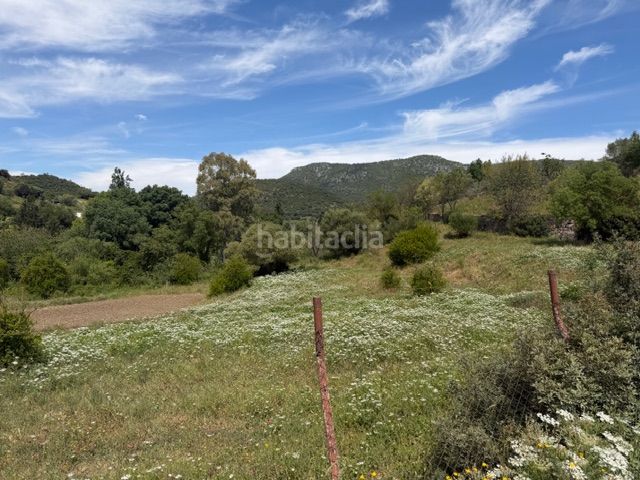 Foto cd067e0c-6395-4904-be72-ca7938182291. Finca rústica a Benaocaz