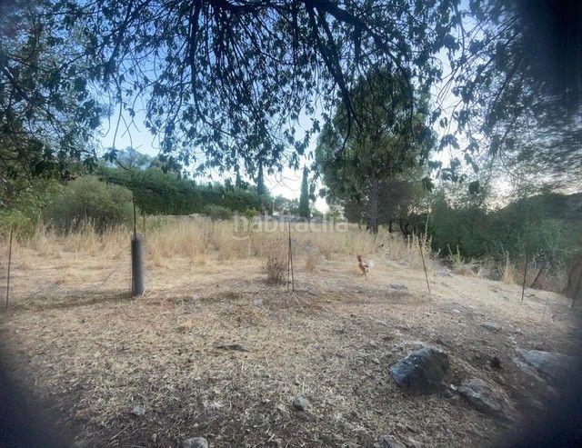 Foto 41e78f0a-f1ce-43f8-885b-8049489390c6. Finca rústica a Benaocaz