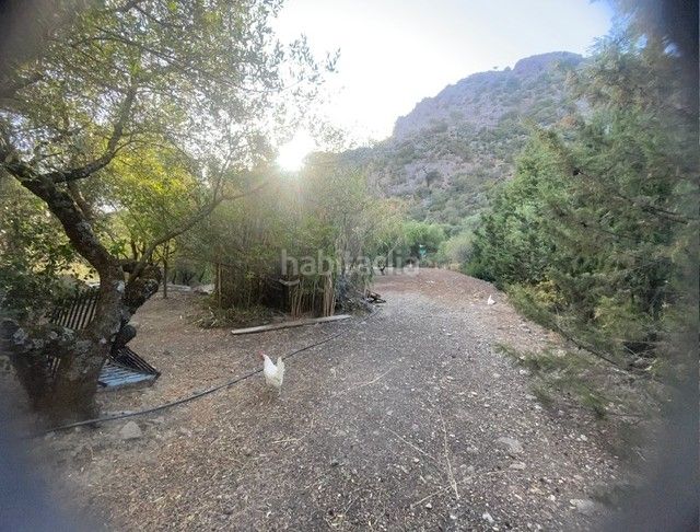 Foto 43fe1b01-d0f5-450e-a9e9-8081e4278eff. Finca rústica a Benaocaz