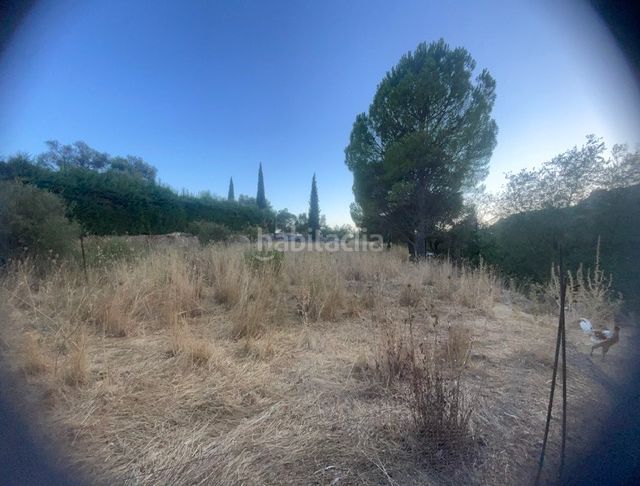 Foto 5c0040d0-d713-4fe3-ae1d-81a15f84e8ac. Finca rústica a Benaocaz