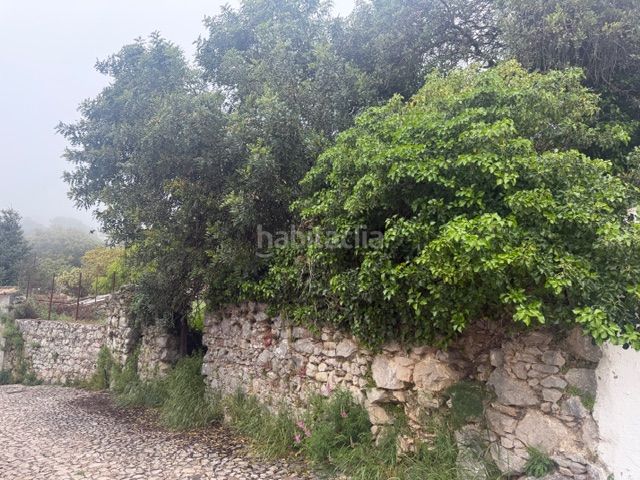 Foto d1e7de90-0e28-44d6-b9e8-79b7d32332d3. Terreny residencial a Benaocaz