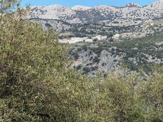 Fondo rustico  Avenida de los callejones. Gran finca de 5 hectáreas en ubrique