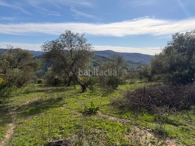 Foto 977f2043-dd0a-47ad-9a59-baf6a597702c. Finca rústica a Ubrique