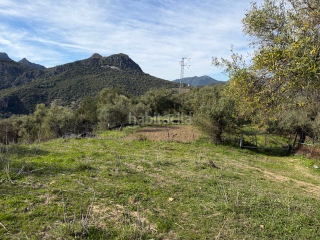 Foto aa61df8f-36a7-4a57-951d-61251f63eb0d. Finca rústica a Ubrique