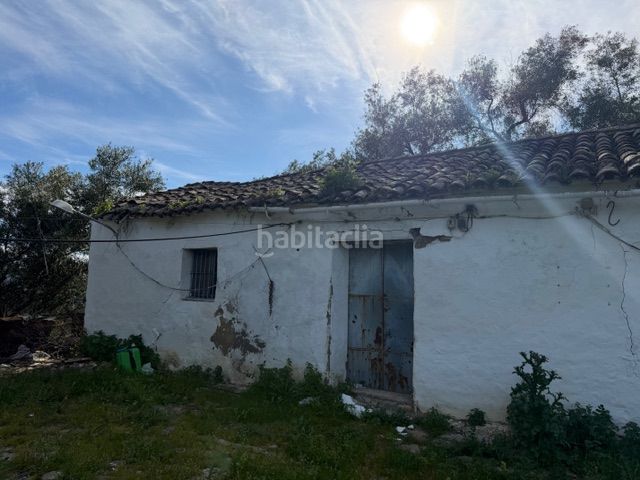 Foto b3cf38a6-ca65-4601-b7eb-54ea544e2784. Finca rústica a Ubrique