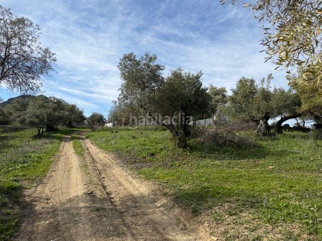 Foto fd5402b8-b8ce-4843-8dcd-35c830be52c8. Finca rústica a Ubrique
