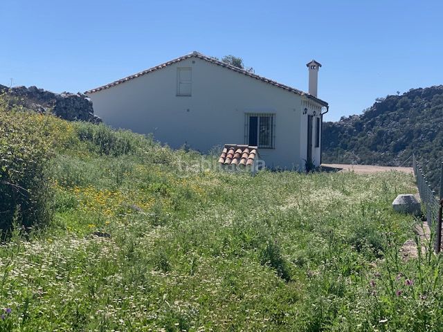 Foto d9fbf34e-d83f-492c-b26e-3ed8d94d9f0e. Finca rústica a Ubrique