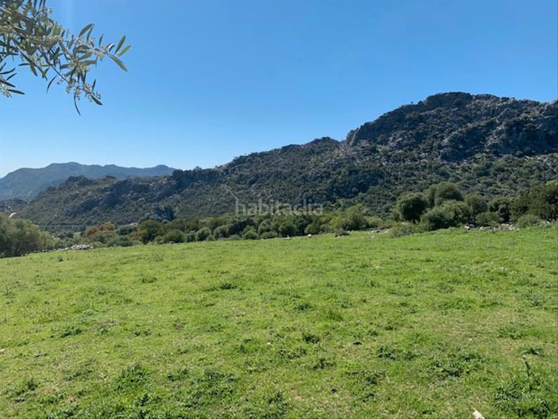 Foto 1971faac-7cd6-42e7-8456-73be030d398d. Landgut in Ubrique