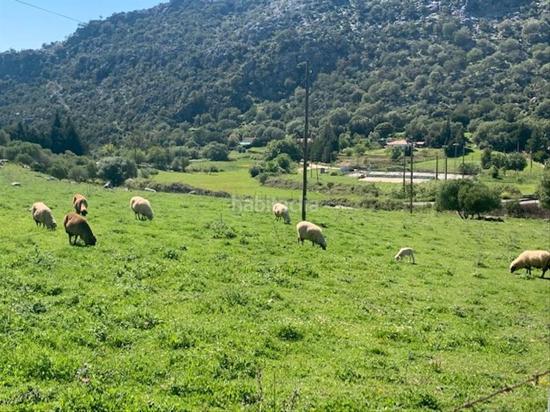 Foto 8b3379de-5477-43a3-8f50-708c65bc3410. Landgut in Ubrique