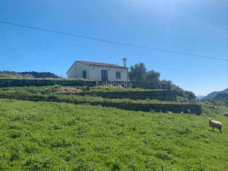 Foto c15a281a-3148-4bbe-9095-ecc132cedf39. Landgut in Ubrique