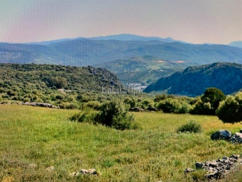 Foto d96e1727-d719-41c2-a33a-9ae6e8fc62ac. Landgut in Ubrique