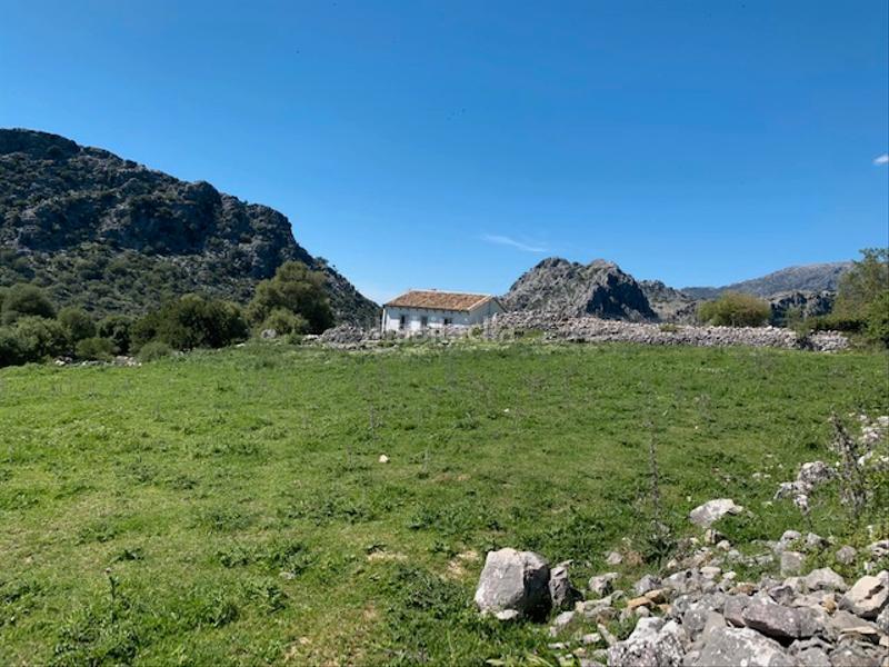 Foto eeb48d95-ef01-4f5e-9e15-e2eabfb97d6c. Landgut in Ubrique