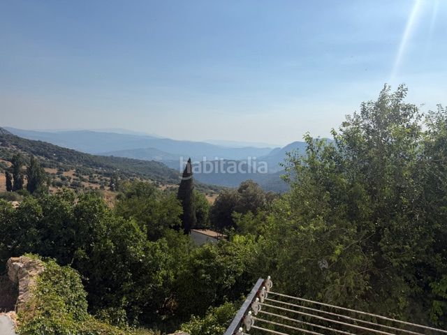 Foto dd2f2ae4-e603-42da-971e-c51d5e72fbf3. Pis a Benaocaz