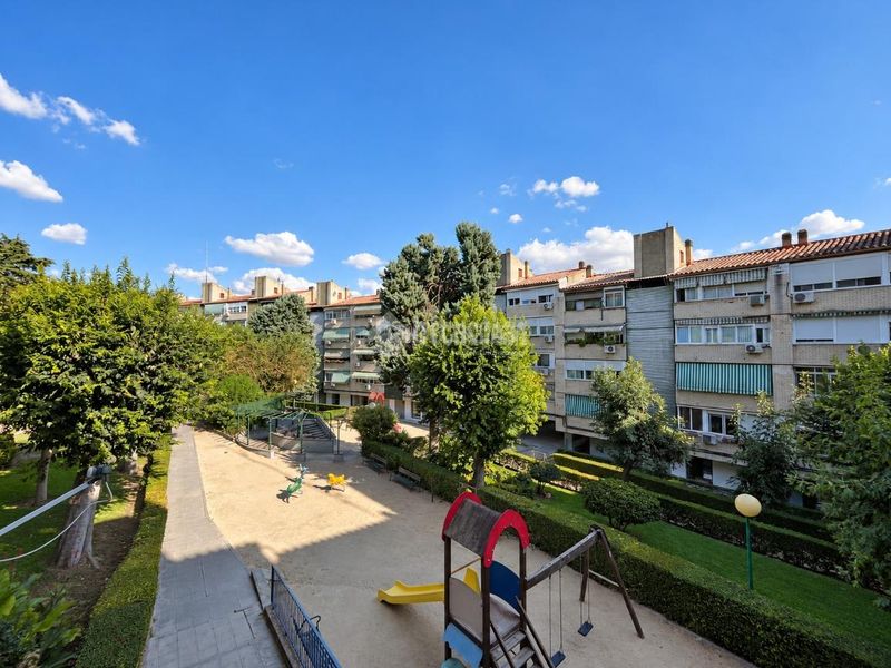 Foto 64fb0289-7794-4bcf-a673-c198665c0fa3. Pis a Centro San Fernando de Henares