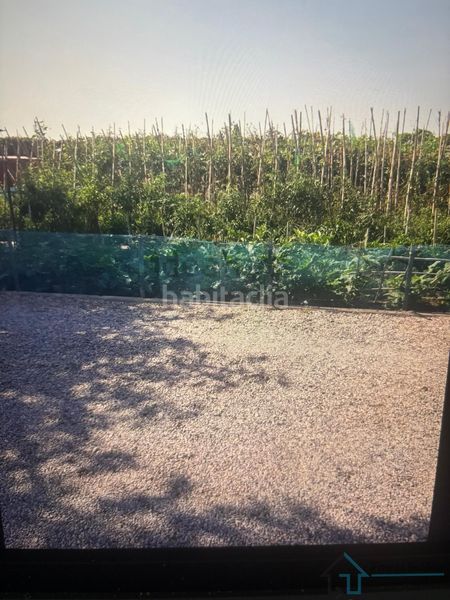 Foto 32d8395e-2ee7-4cc4-991e-5e49b5d087a4. Apartament amb piscina a Corinto-Almardà Sagunt