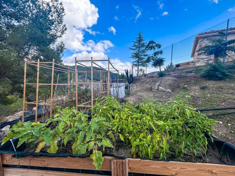 Foto 64d8bdae-ff47-47a7-9de8-b7b0828bed6b. Casale con camino piscina in Torre de les Maçanes (la)