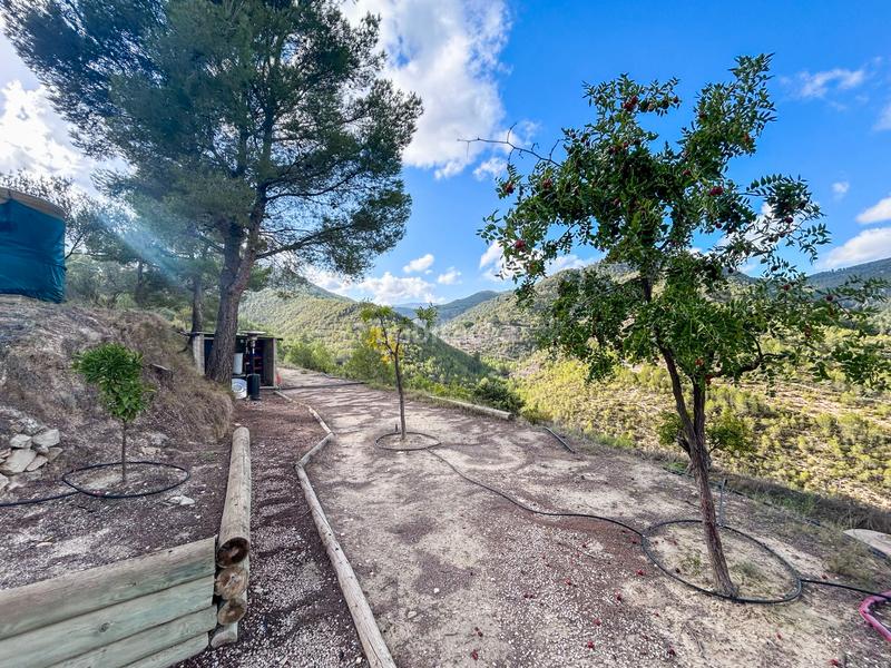 Foto 74ce4d84-40a8-4d1c-b671-f2842abdae30. Casale con camino piscina in Torre de les Maçanes (la)