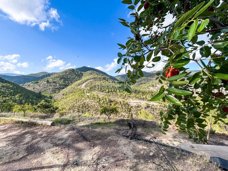 Foto cfda8984-6823-4712-a98f-b72181ee1af8. Casale con camino piscina in Torre de les Maçanes (la)