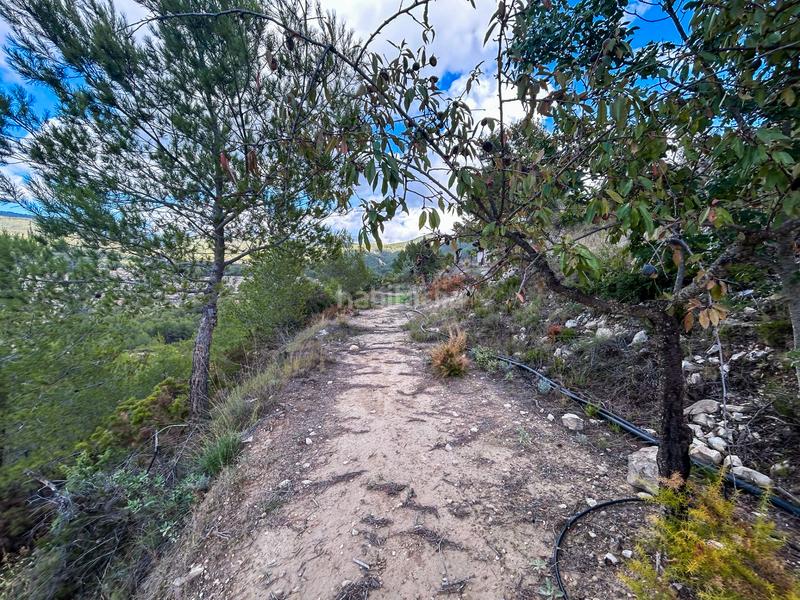 Foto e9353da3-d583-4fac-8b6d-89822c3642f5. Casale con camino piscina in Torre de les Maçanes (la)