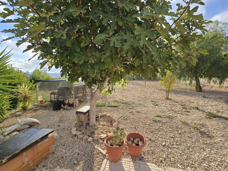 Foto 5ef46eac-050d-480a-a755-7090fa0d55f9. Xalet amb xemeneia piscina a Sax