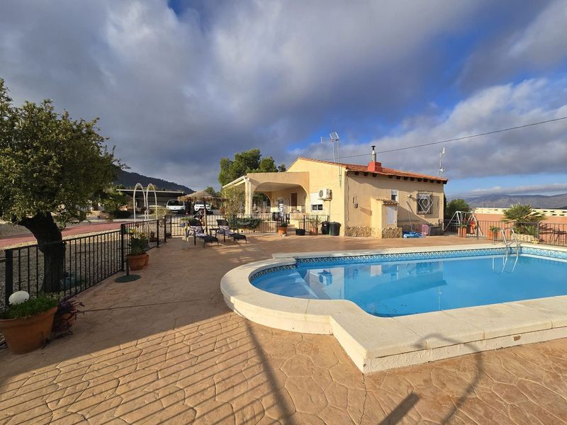 Foto 809ae40a-03e4-4719-b1e1-4a6a69ba479d. Xalet amb xemeneia piscina a Sax