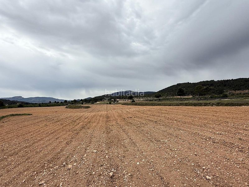 Foto 8d730059-36e9-4c56-b144-f727c7945590. Finca rústica a Pinoso