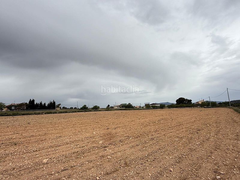 Foto bfe1c4f7-09a6-4773-aa69-93c89bab6de3. Finca rústica a Pinoso