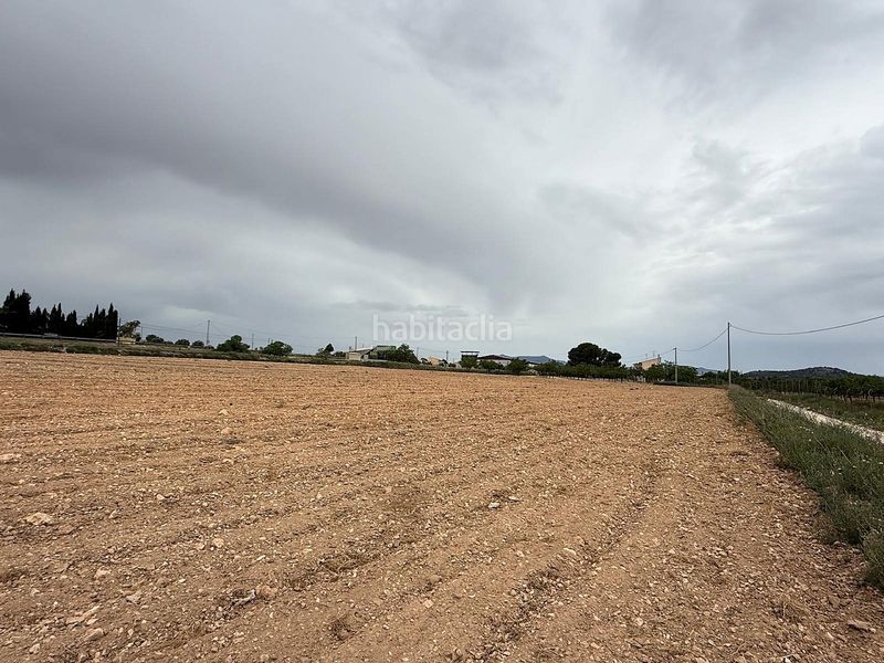 Foto db7eb92d-4766-4b1f-b5bb-4fceb2dc5e85. Finca rústica a Pinoso