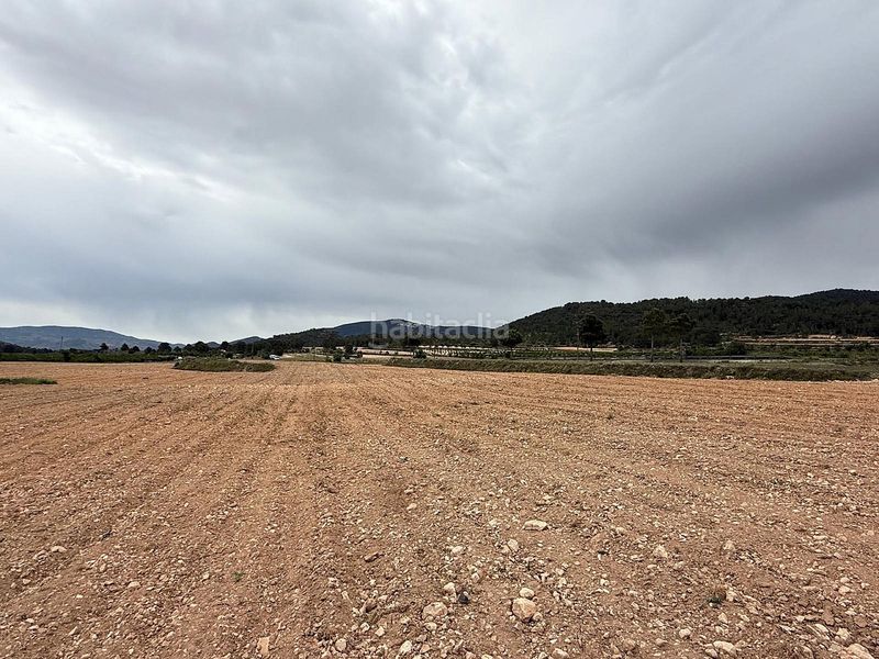 Foto e7e1c436-44b9-4db0-837e-3a961175cc92. Finca rústica a Pinoso