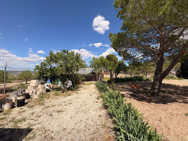 Foto bee8c5ac-d869-49d8-8f90-d83a0cf6d5d2. Xalet amb xemeneia aparcament piscina a Yecla