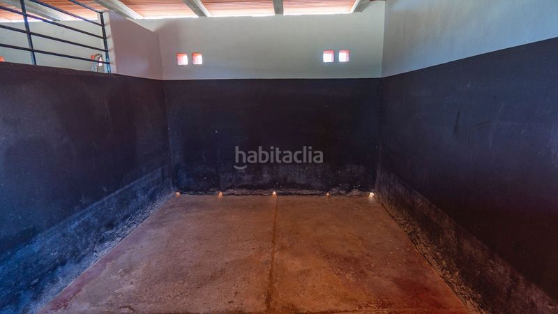 Foto a1c96eae-1110-46ba-8af5-e17ccfc835b0. Xalet amb calefacció piscina a Rojales
