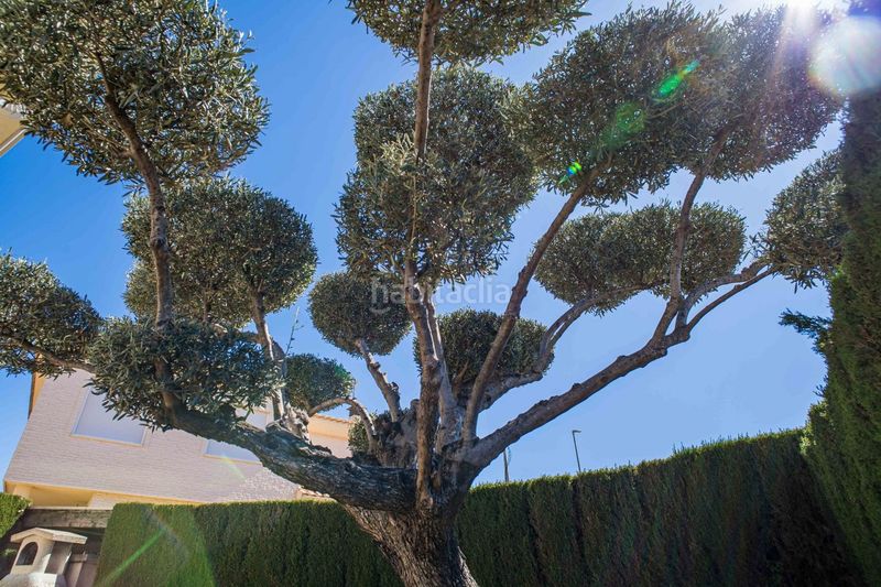 Foto 5a12a9be-83c9-464c-a192-7902d6584d18. Chalet con camino riscaldamento piscina in Plaza de Toros-Avenida Chapí-Trinquete Elda