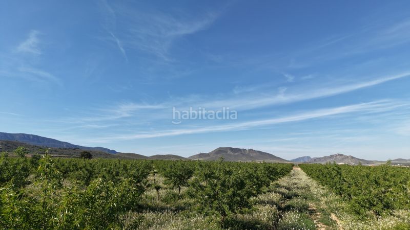 Foto 49ca97d3-4fcf-4a95-9717-6611abed49bc. Finca rústica terreno edificable en Yecla