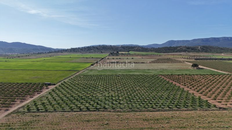 Foto d3302b5e-febe-4908-bcf8-0a8e8604c141. Finca rústica terreno edificable en Yecla