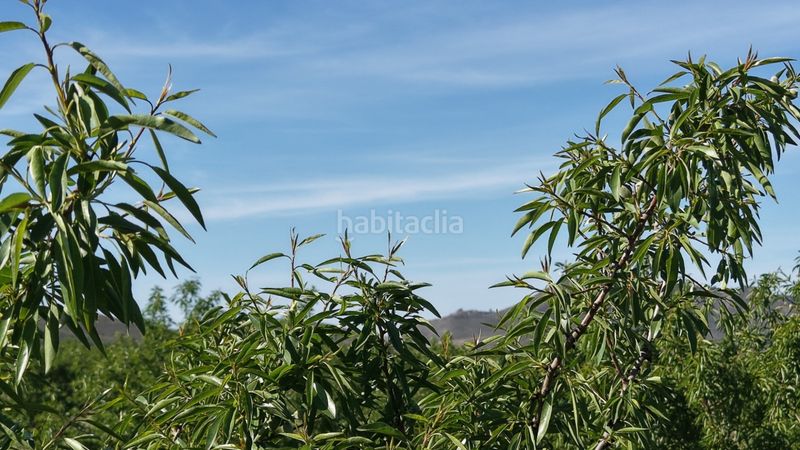 Foto d4182602-5e56-475f-a541-3a11092e0305. Finca rústica terreno edificable en Yecla