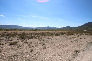 Rural plot in Jumilla. Terreno en torre del rico