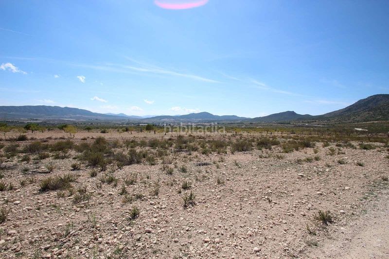 Foto 1a8ad1fb-2a7f-463e-a95b-54633508516c. Finca rústica a Jumilla