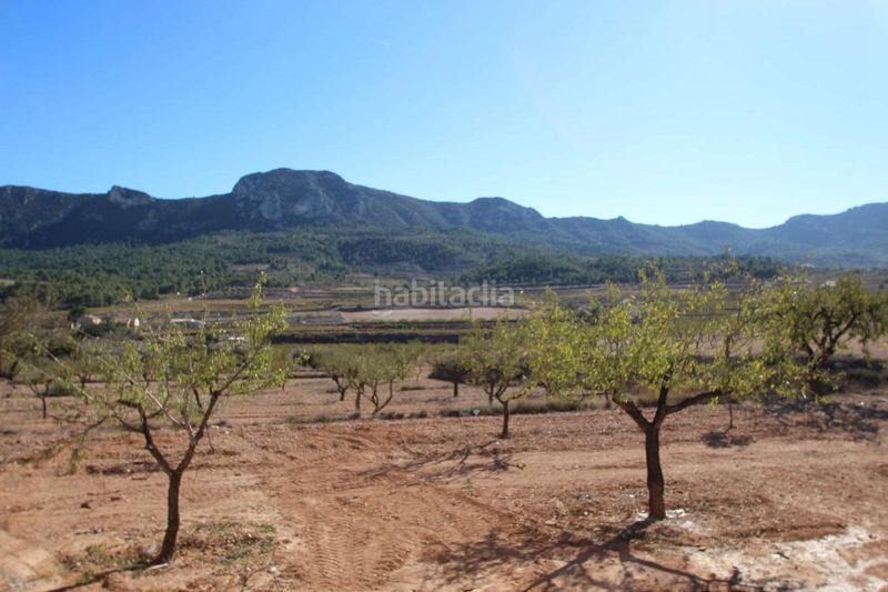Foto 03c40b1f-fbcb-46ec-8b13-80b4e8a4c807. Xalet a Romana (la)