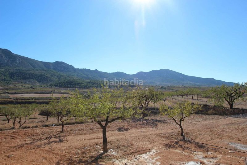 Foto 4bb8eec8-0b02-42e9-b29c-5a80a225f844. Xalet a Romana (la)