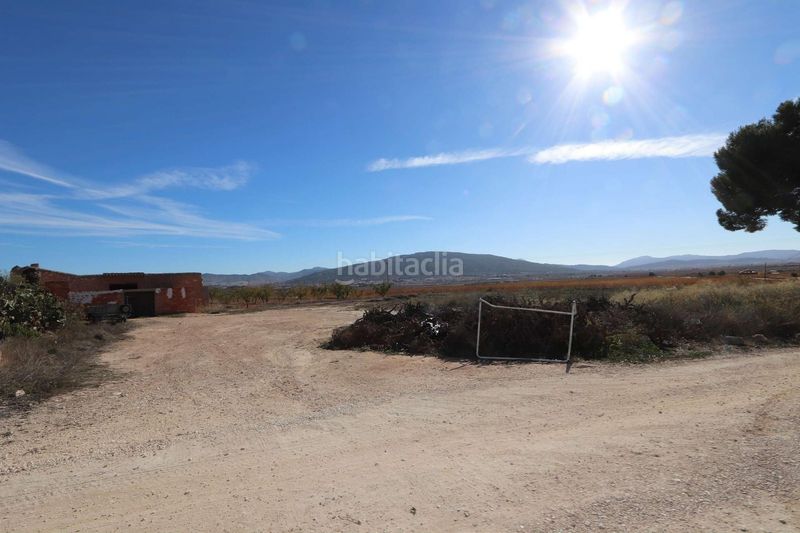 Foto 8e25cbdd-f9c7-462e-9bfc-17291afdca7d. Local comercial a Pinoso