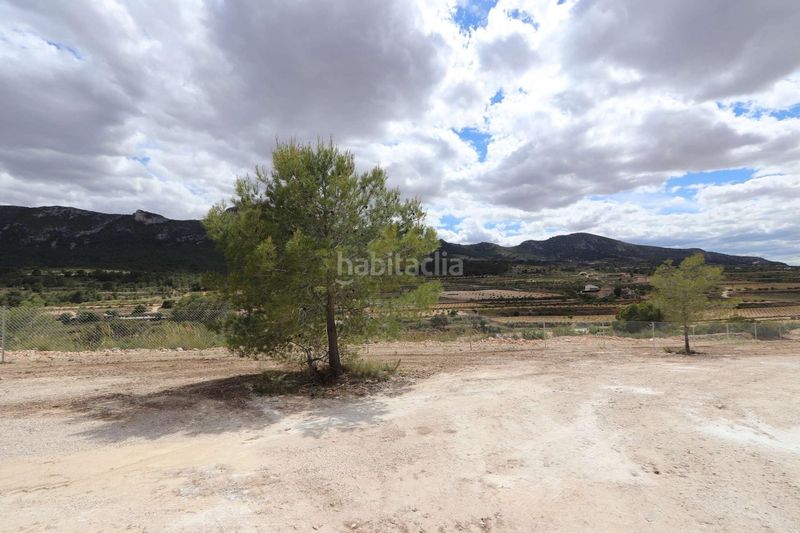 Foto 5a3e9c4a-2d9a-4733-8ff4-ee7f98df8f0f. Xalet a El Castillo Aspe