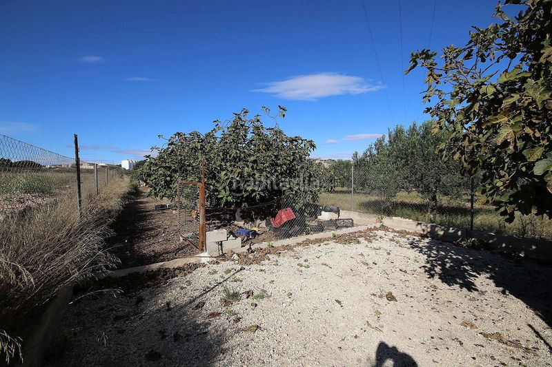 Foto beecfb28-84f6-4592-864a-c2dff5cc0085. Xalet a Monòver