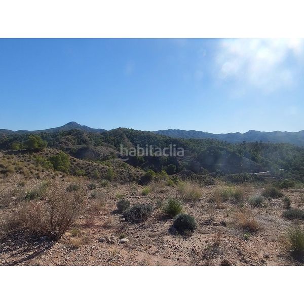 Foto fe9caf37-ba9e-4e35-b629-51d2e5506665. Finca rústica a Abanilla