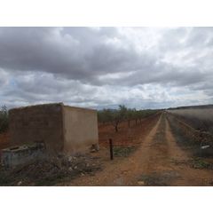 Finca rústica a Yecla. Terreno en raspay