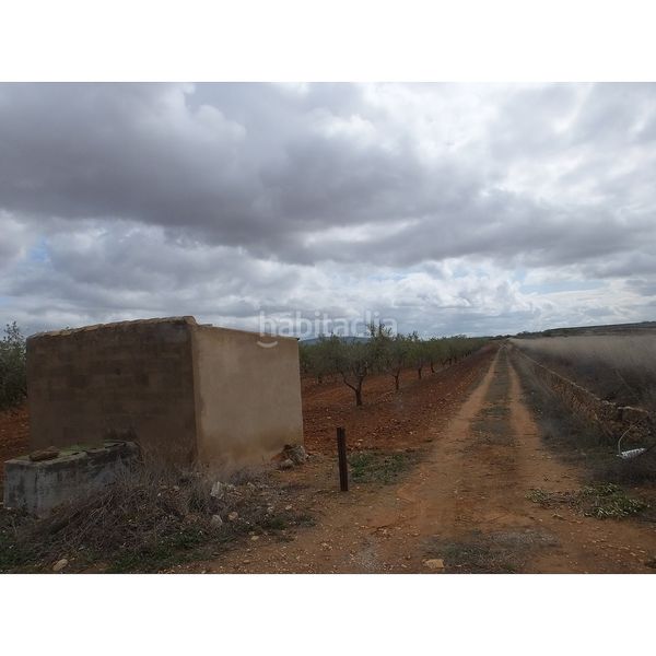 Foto b1d3364c-cae2-47dc-85c6-a056d1284674. Finca rústica a Yecla