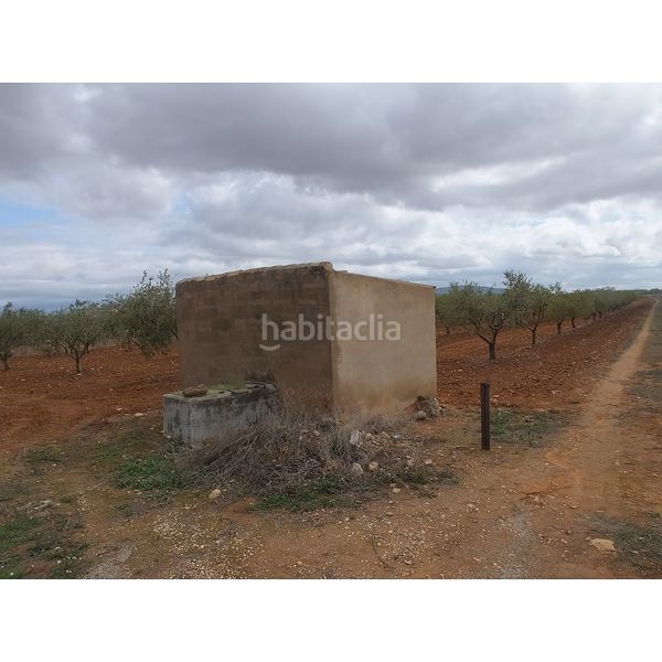 Foto b8c94172-c8d1-45ee-844f-8c392d4eb310. Finca rústica a Yecla